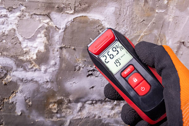 Certified Mold Removal in Forest City, PA