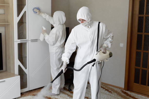 Best Fast Mold Removal  in Forest City, PA