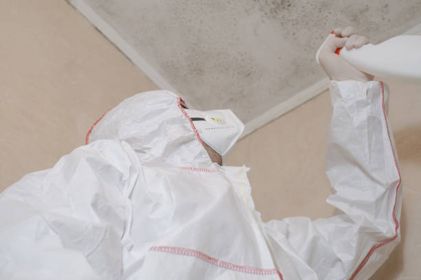 Best Home Mold Removal  in Forest City, PA