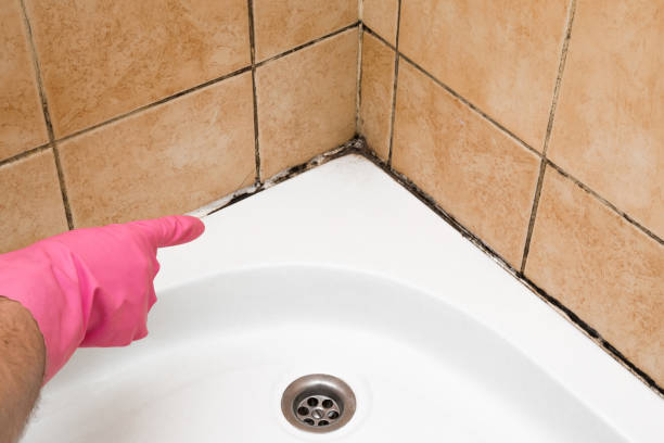 Best Water Damage Restoration  in Forest City, PA
